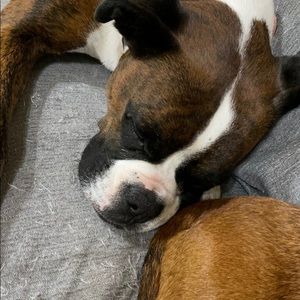 Meet your Posher, Lori